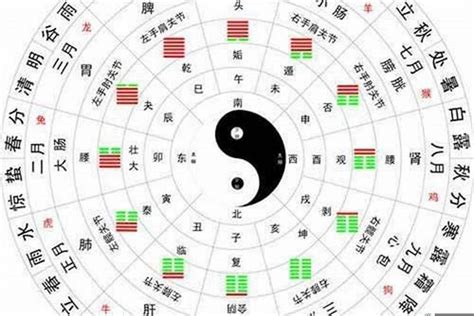 金木水火土五行|天干地支五行 天干地支五行对照表金木水火土